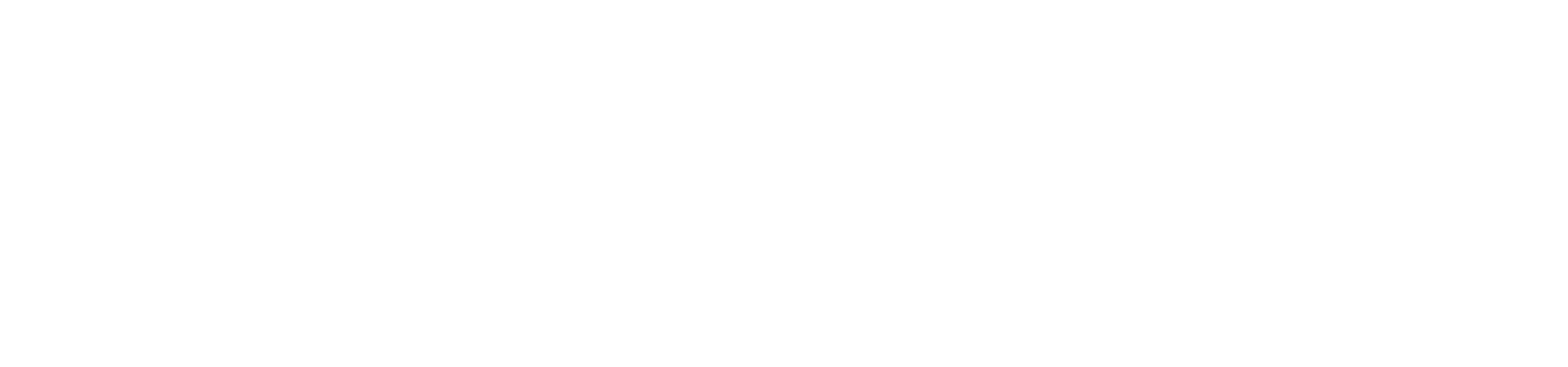 IN2PAST